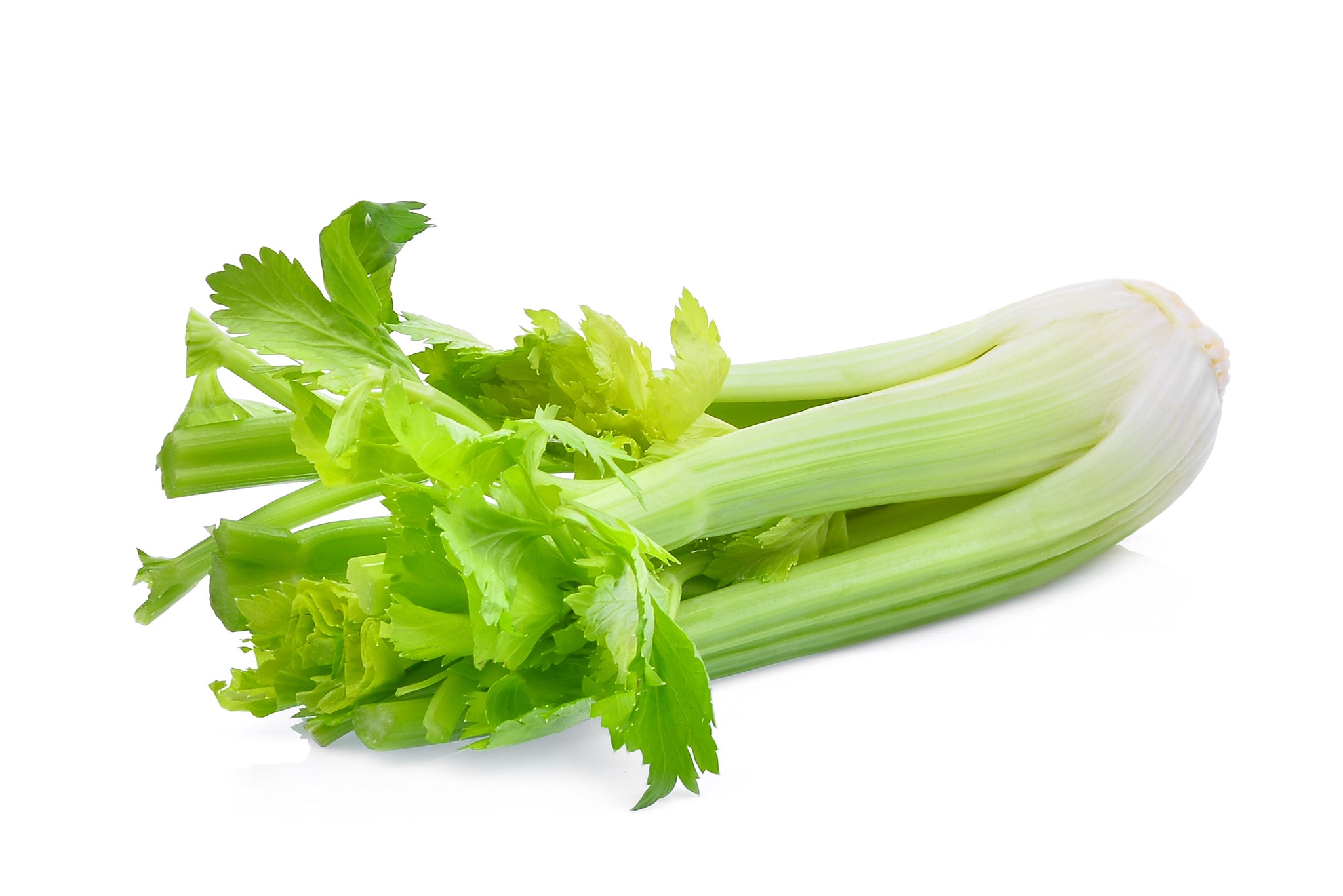 bel>Celery, bunch