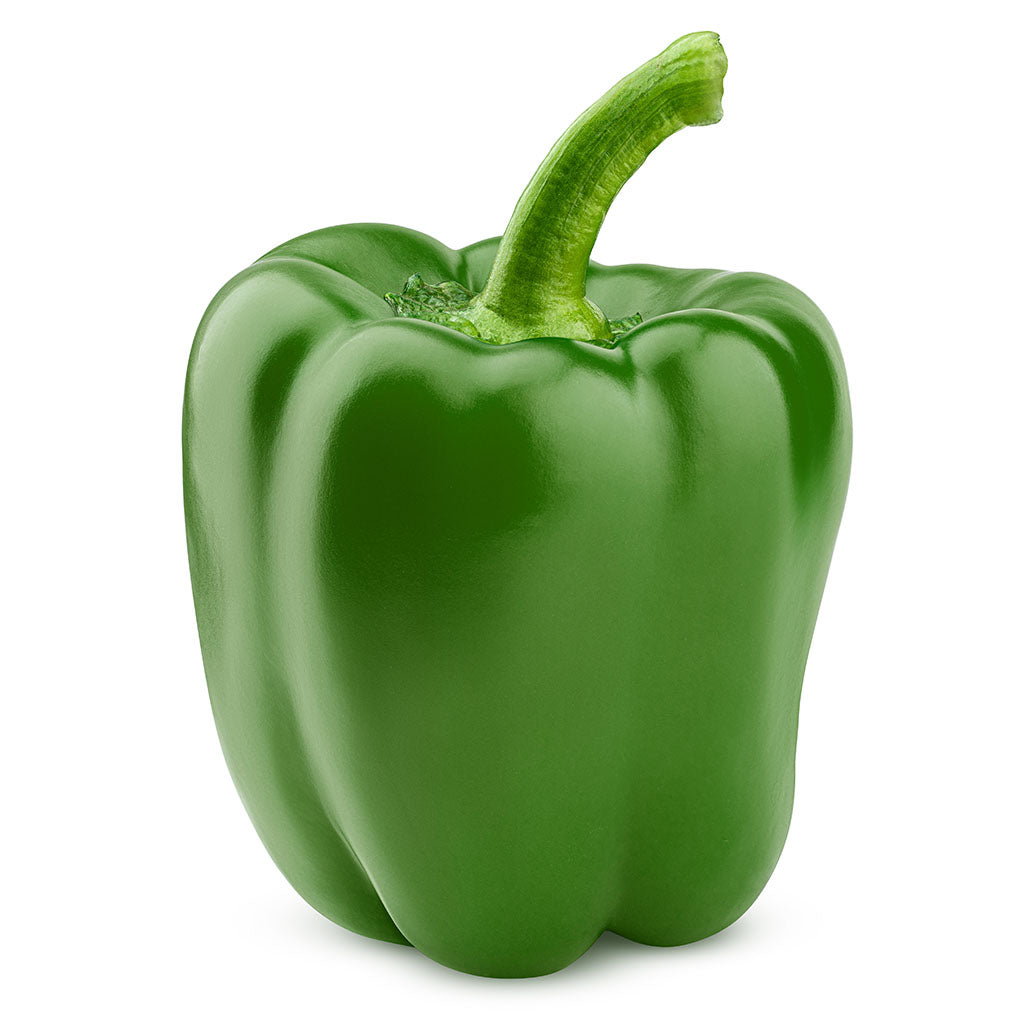 stl>Pepper, Green (1 Pepper)