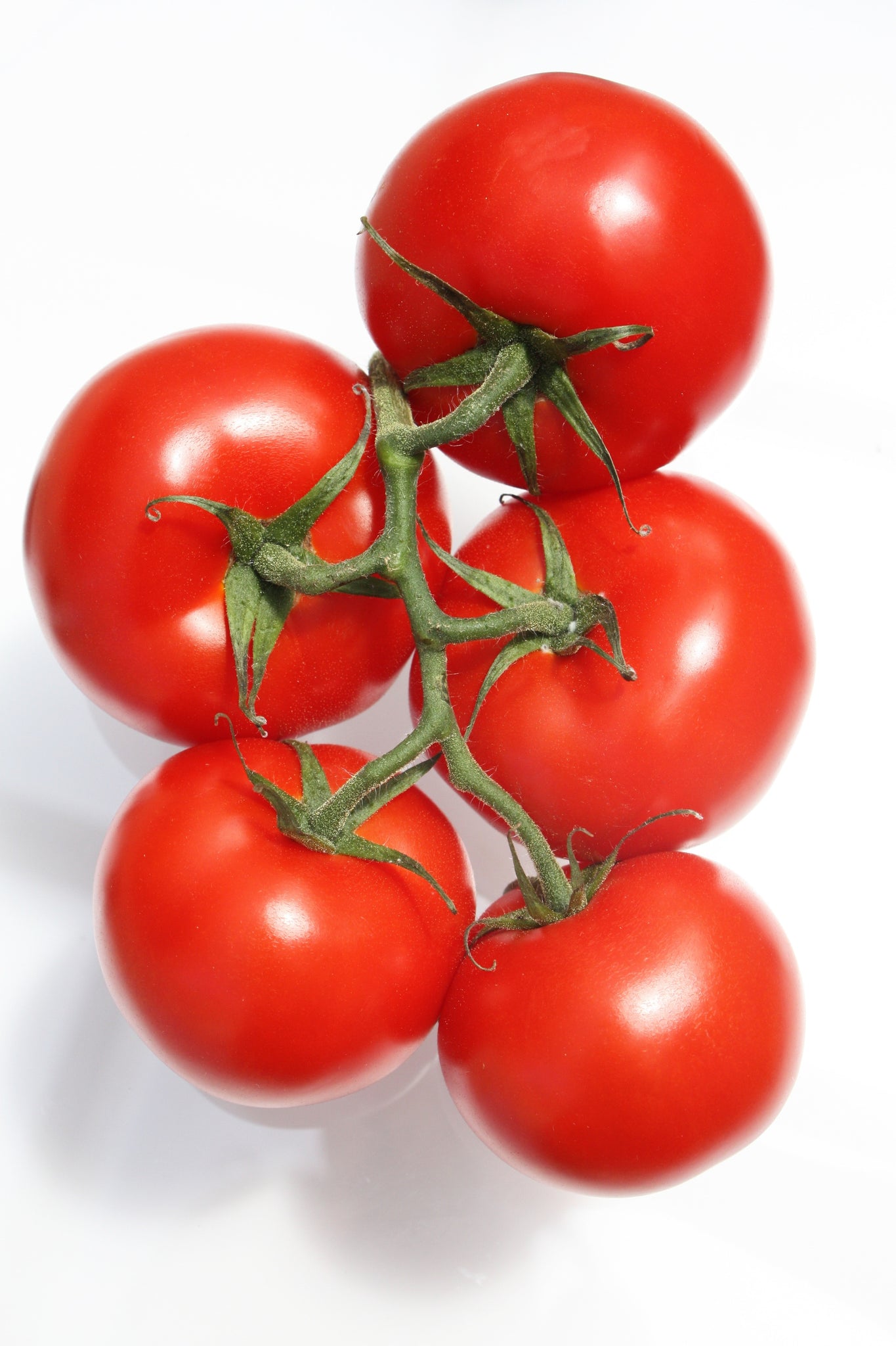 bel>Tomatoes, lb