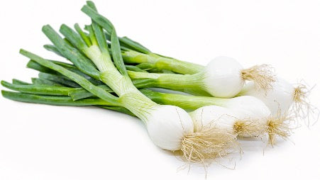 can>Spring Onions (1 bunch)