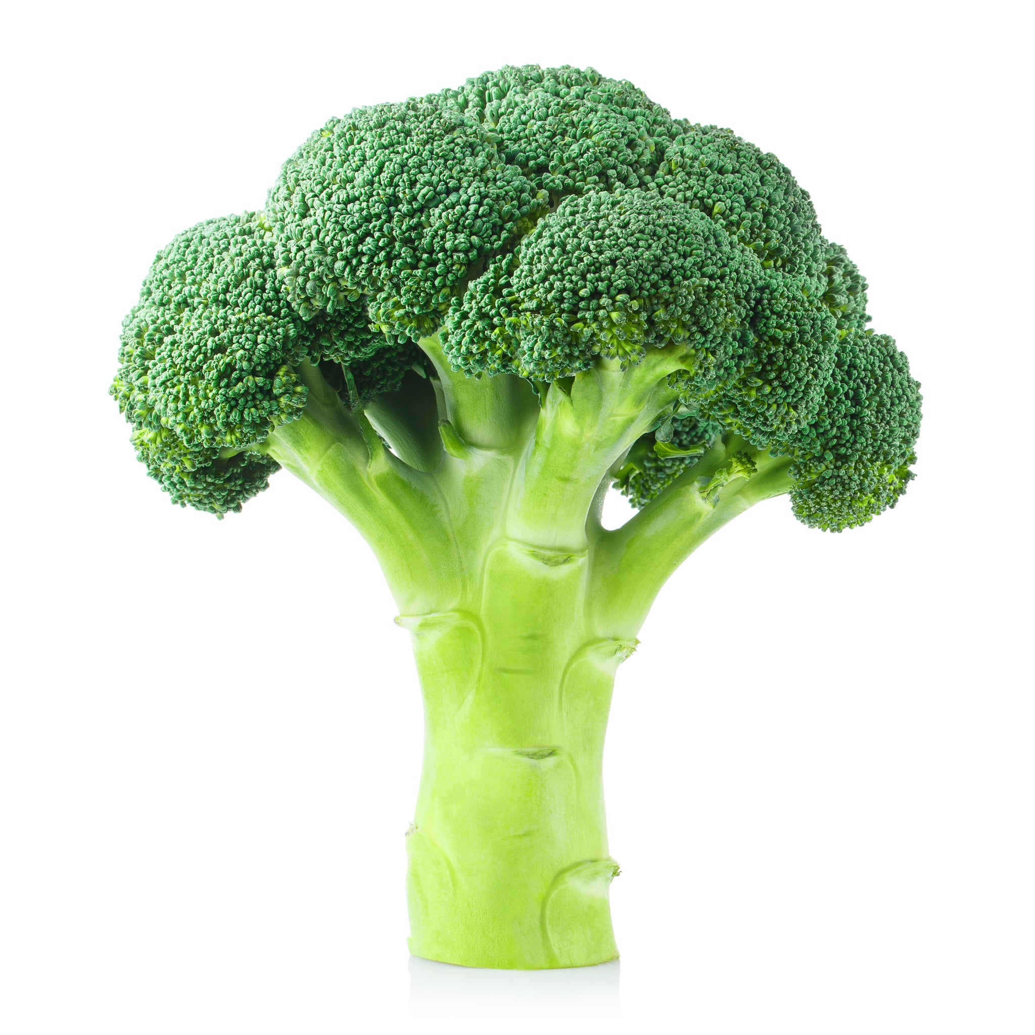 sey>Broccoli, 1kg